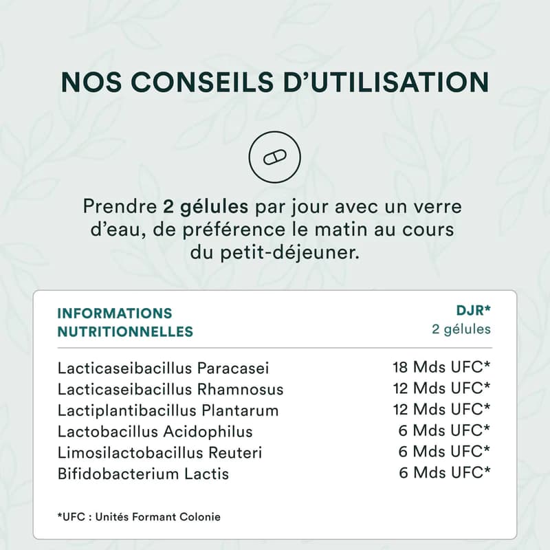 Supplément De Formule Probiotique | Supplément Probiotique | Wellvita