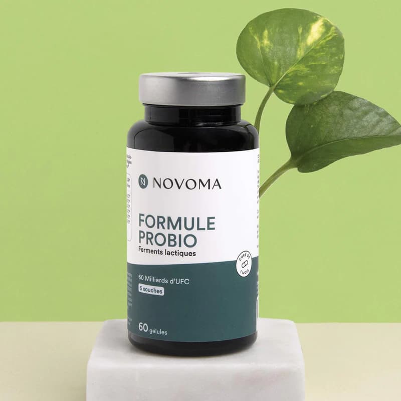 Supplément De Formule Probiotique | Supplément Probiotique | Wellvita